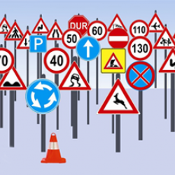 Sayısız Ürün Çeşidi